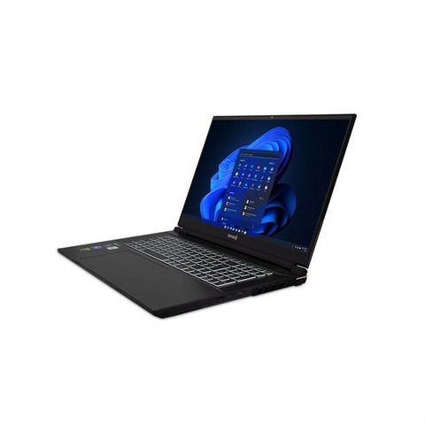 TERRA MOBILE GAMER ELITE 5v3 i9-14900HX W11P -FR