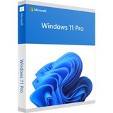 Windows 10 / 11 Professionnel