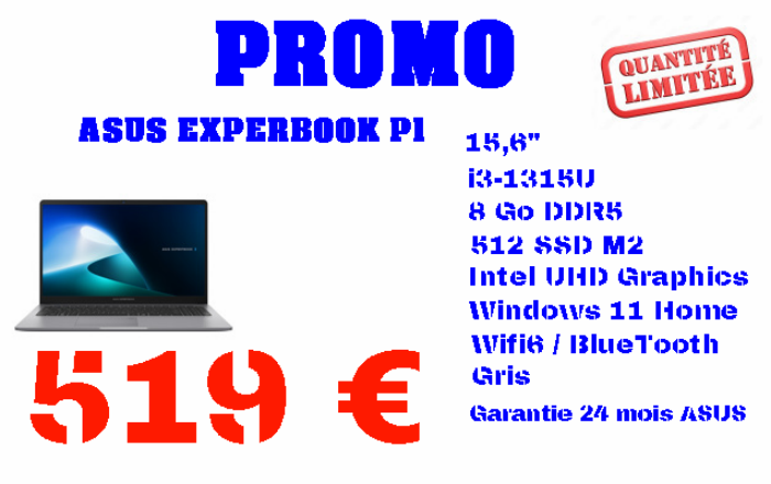 EXPERTBOOK P1.png