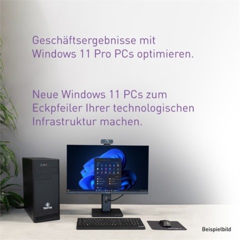 TERRA AIO 2710 wh